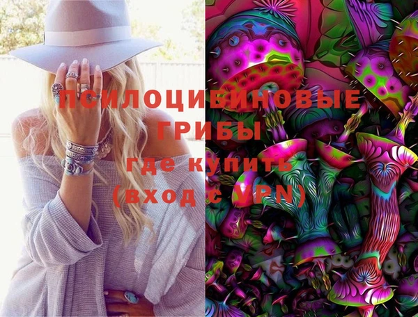 СК Гусев