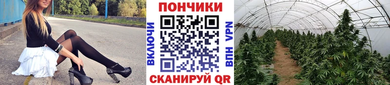 наркота  Буинск  Каннабис конопля 